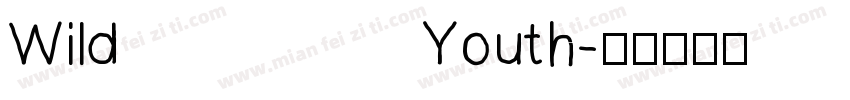 Wild Youth字体转换